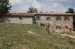 48895168             
