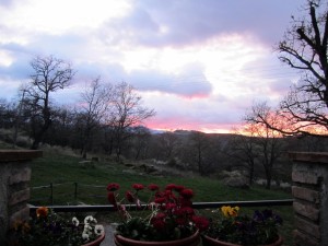 IMG_4441             