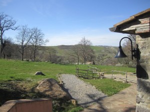 IMG_4334  