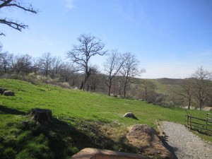 IMG_4340  